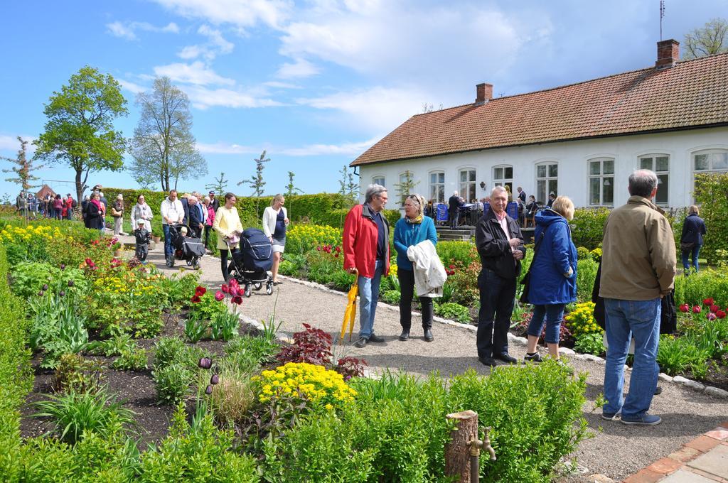 Svabesholms Kungsgards B&B Och Pensionat Stenshuvud Kivik Exterior foto